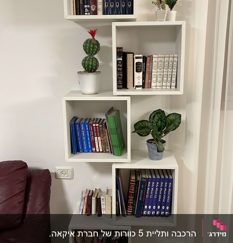 התקנת כוורות ע״י אלי עבודה מדוייקת ומקצועית